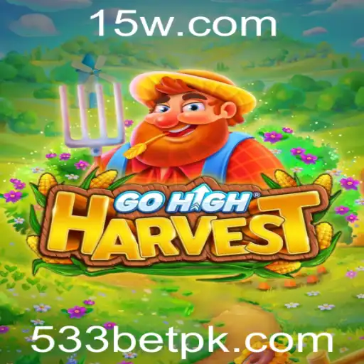 533bet Casino App